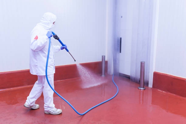 Pre-Holiday Cleaning in Port Ewen, NY