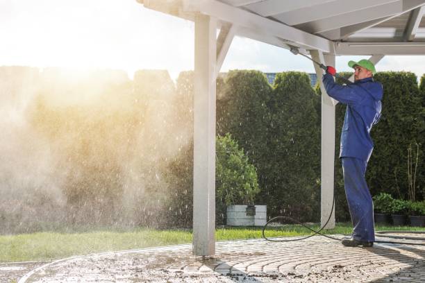 Best Animal Enclosure Cleaning  in Port Ewen, NY